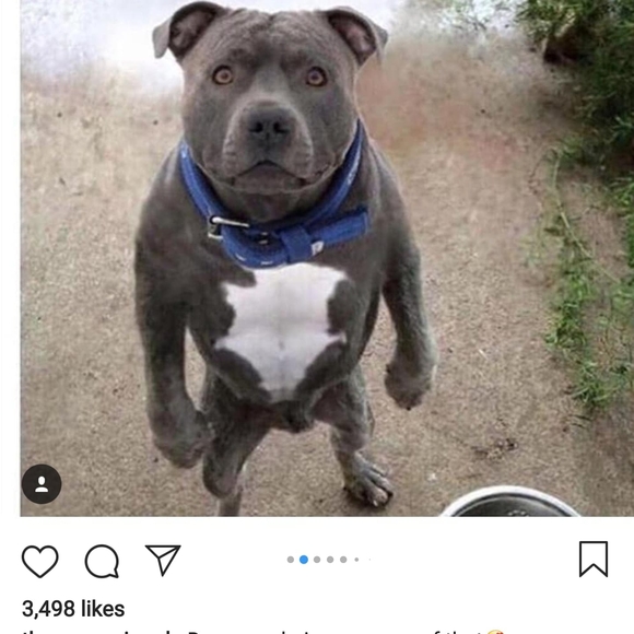 Meet your Posher, Magnus - Picture 1 of 1